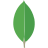 MongoDB – a popular open-source NoSQL database designed for high performance, scalability, and flexibility with JSON-like document storage.